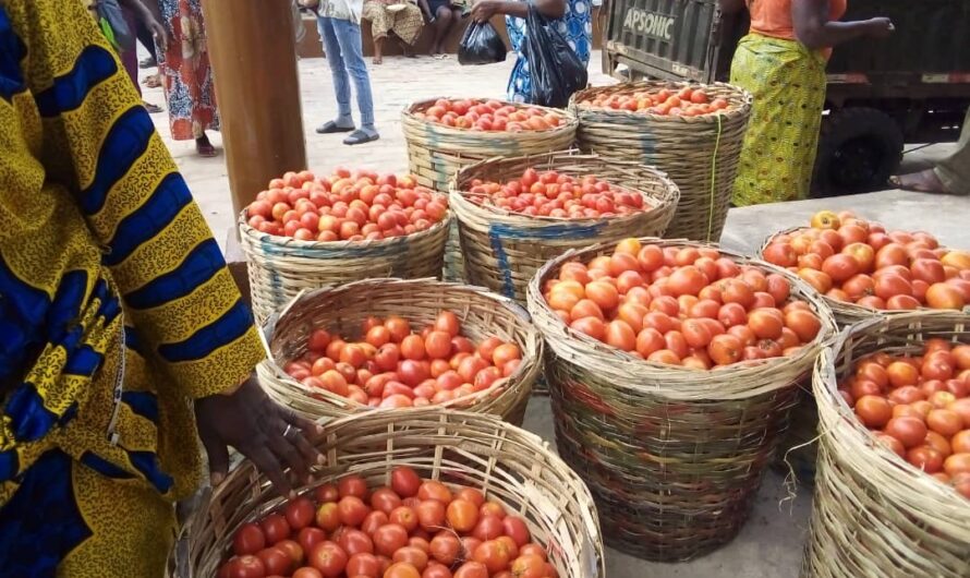 Togo : Vers la fin du problème de places évoqué par les femmes dans le nouveau marché de Bè klikamé