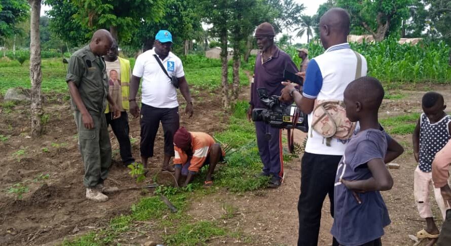 Togo/ projet de reboisement dans la préfecture de la koza : J.P.C.S. compte planter 2000 à Tcharè et Landa