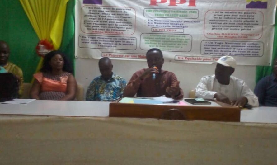 Togo/politique : le PPI s’indigne contre l’augmentation du nombre des députés