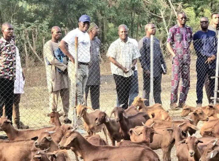 TOGO: le ministre d’État a visité le centre de recherche agronomique savane Humide à Kolokopé