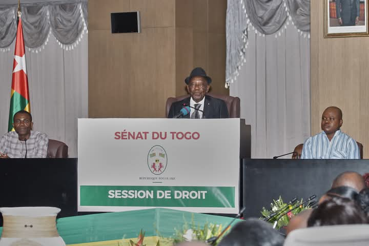 TOGO / Sénat: ouverture de la session de droit