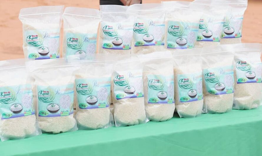 Propriété intellectuelle : le riz de Kovié obtient une distinction